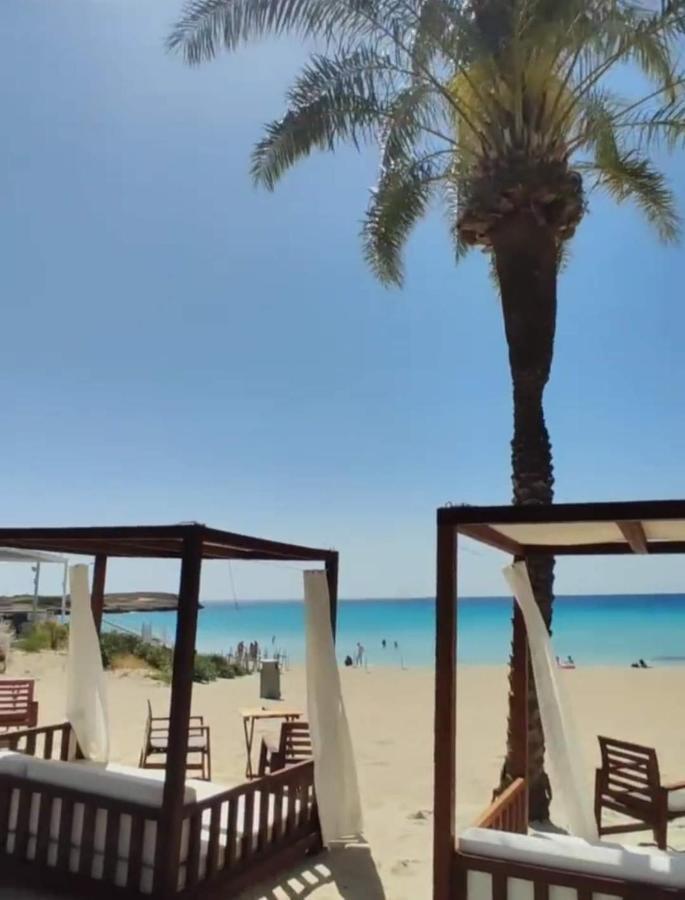 Nissi Golden Sands Sea View 2 Bedroom Apartment 圣纳帕 外观 照片
